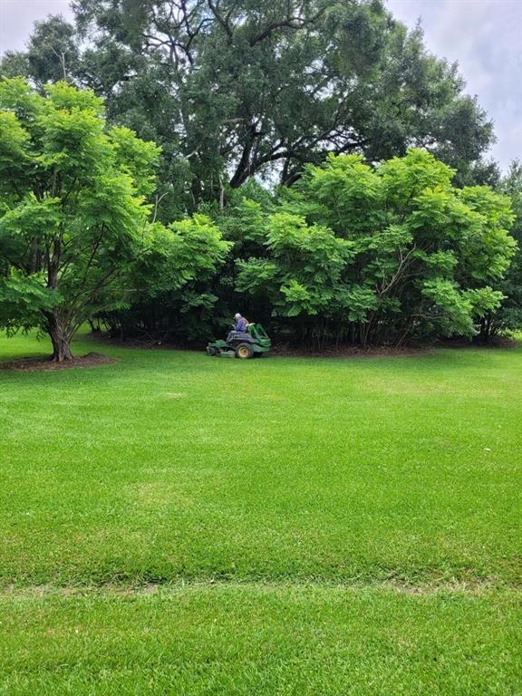 1518 E 33rd Street, Houston, Texas image 6