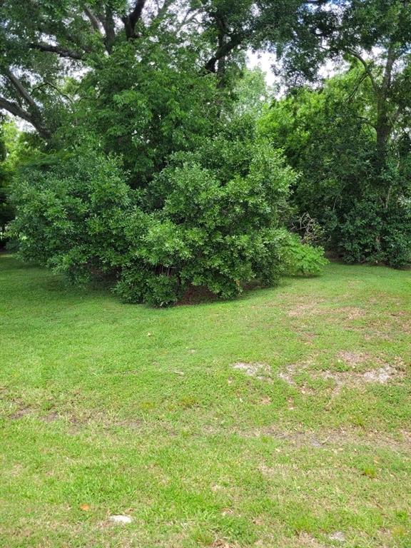 1518 E 33rd Street, Houston, Texas image 8