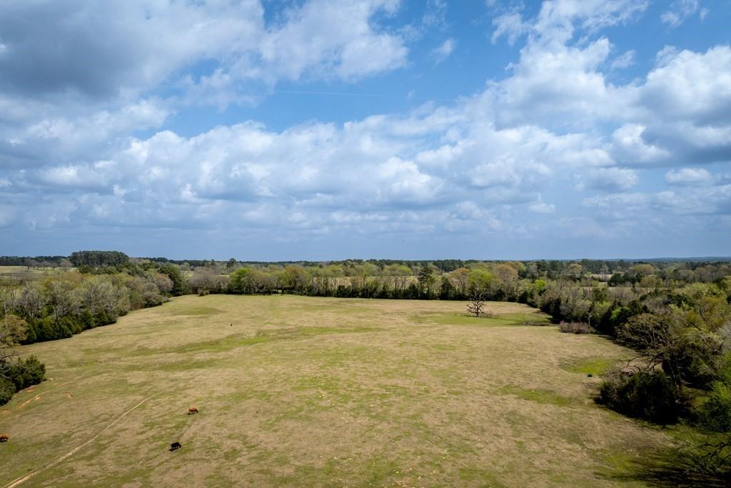 13634 N Fm 2022, Grapeland, Texas image 21
