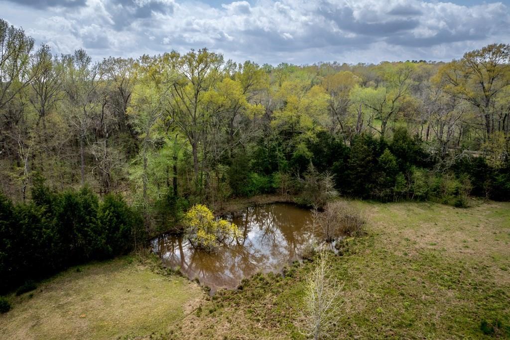 13634 N Fm 2022, Grapeland, Texas image 24