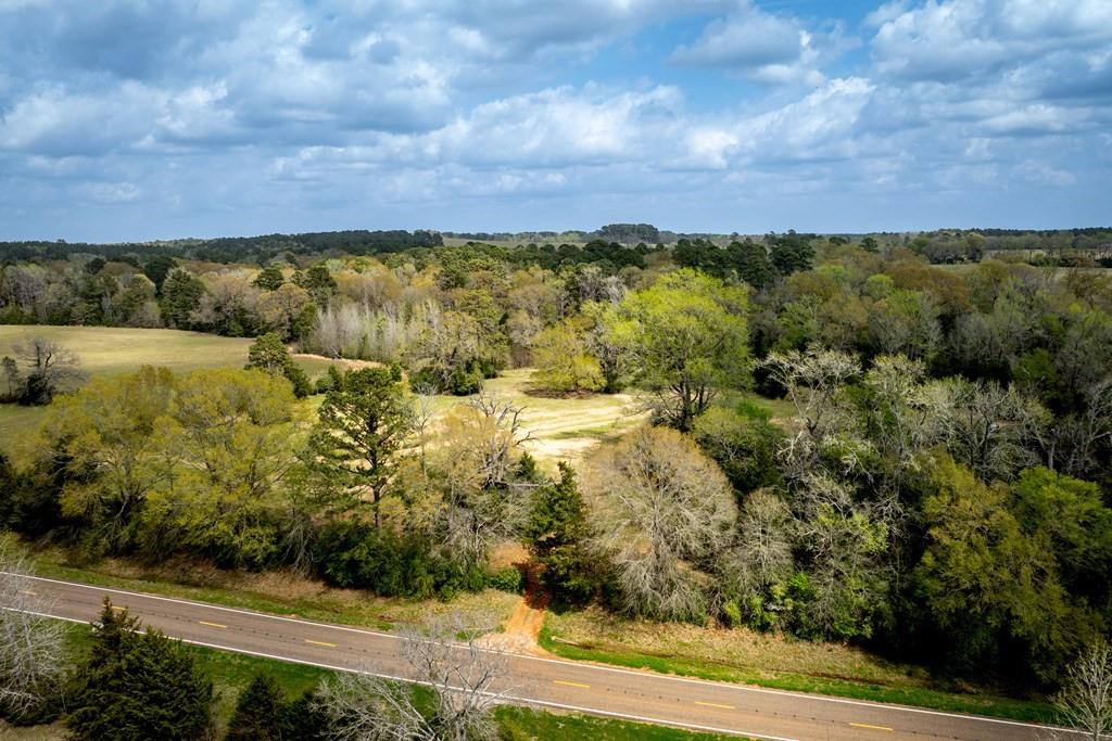 13634 N Fm 2022, Grapeland, Texas image 5