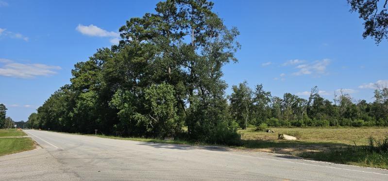 14653 Fm 1008 Rd, Dayton, Texas image 4