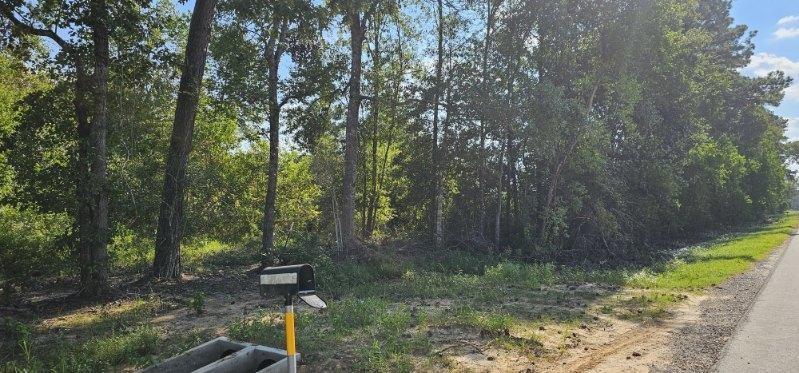 14653 Fm 1008 Rd, Dayton, Texas image 7
