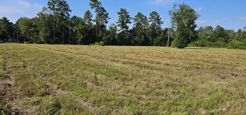 14653 Fm 1008 Rd, Dayton, Texas image 14