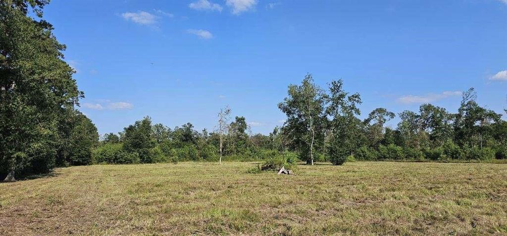 14653 Fm 1008 Rd, Dayton, Texas image 12