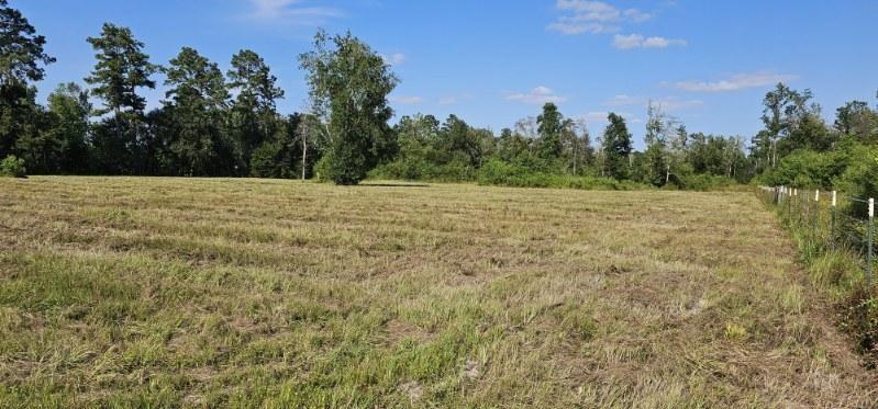 14653 Fm 1008 Rd, Dayton, Texas image 1