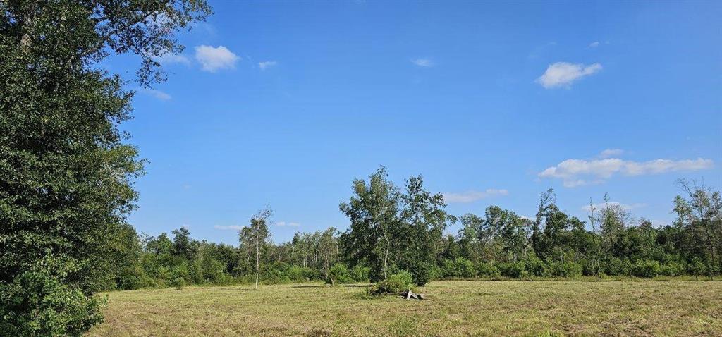 14653 Fm 1008 Rd, Dayton, Texas image 9