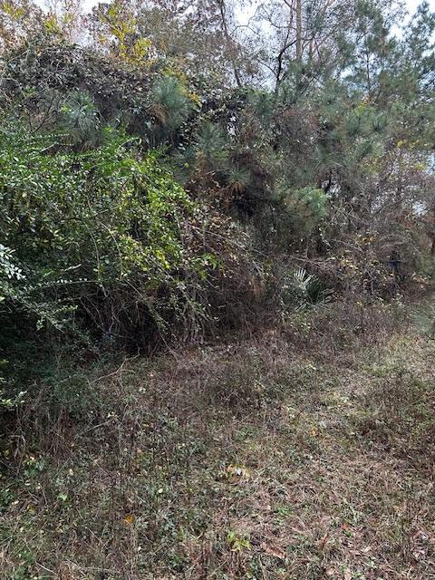 Lot 10 Ponderosa Circle, Conroe, Texas image 4