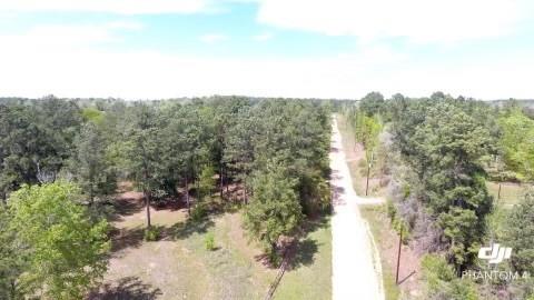 697 County Road 4330, Woodville, Texas image 14