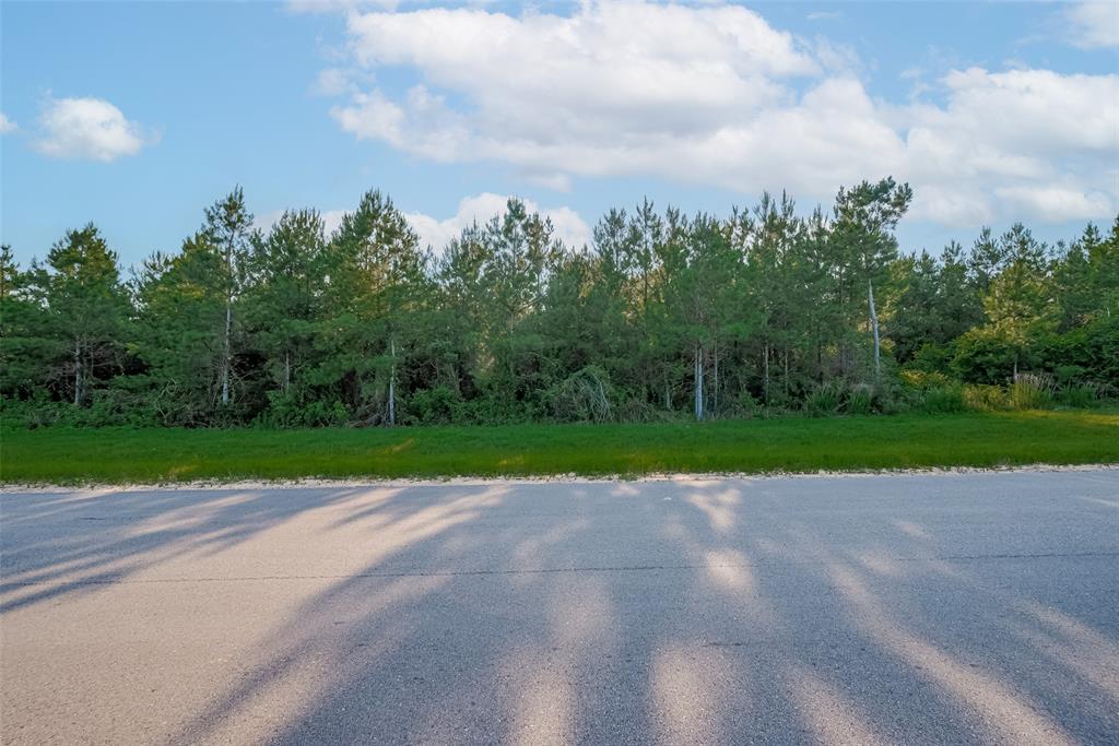 15743 Wooded Trail Way, Willis, Texas image 6