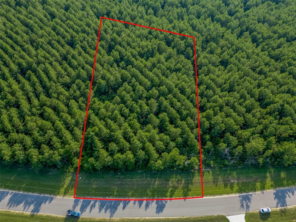 15743 Wooded Trail Way, Willis, Texas image 1