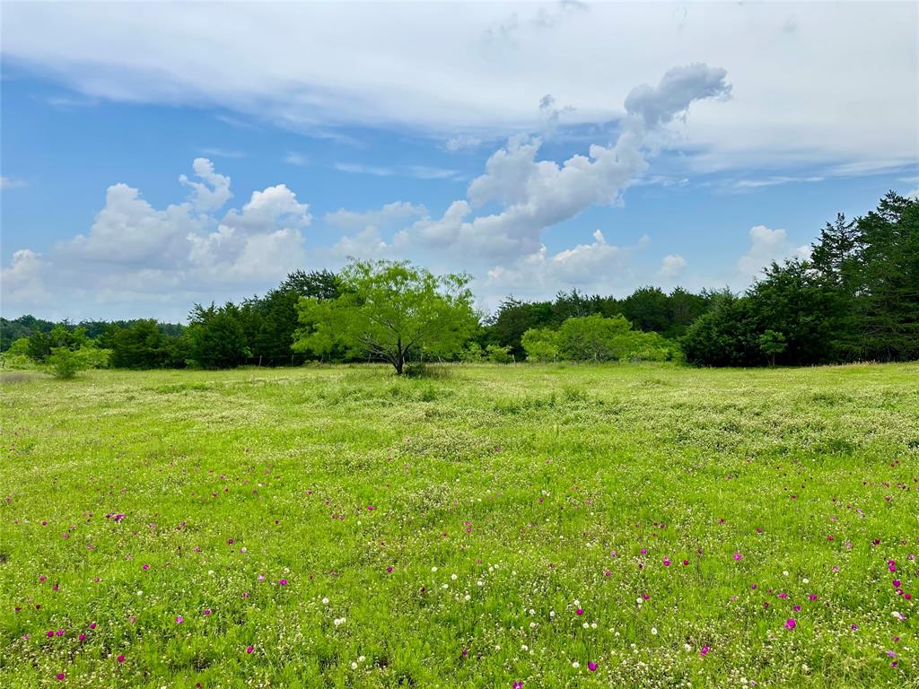 133 Fm 489, Teague, Texas image 2
