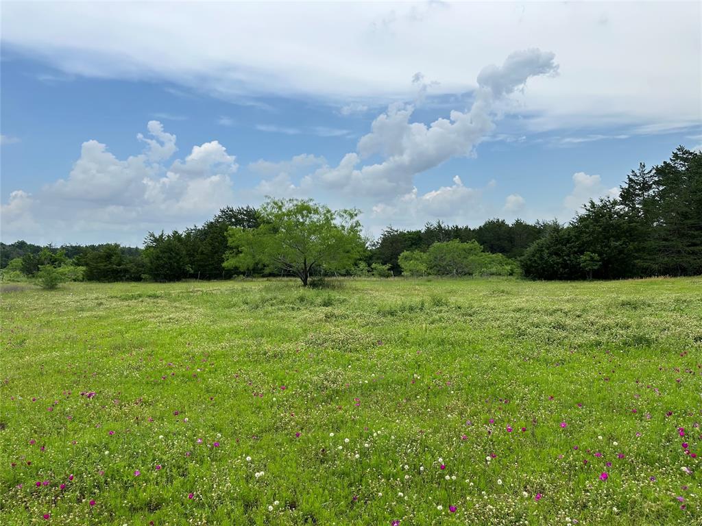 133 Fm 489, Teague, Texas image 23