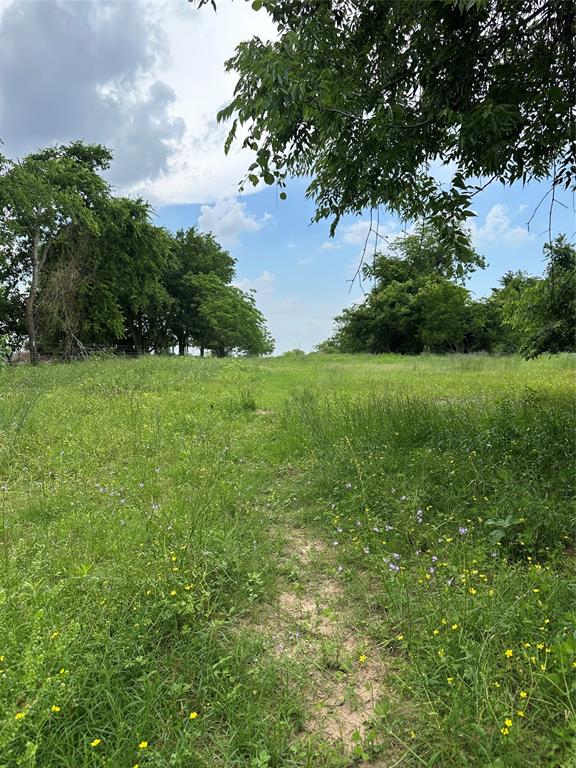 133 Fm 489, Teague, Texas image 4