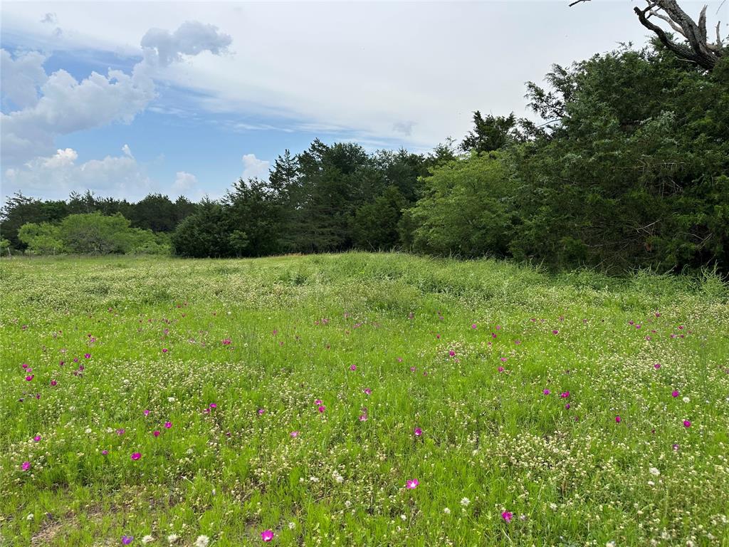 133 Fm 489, Teague, Texas image 9
