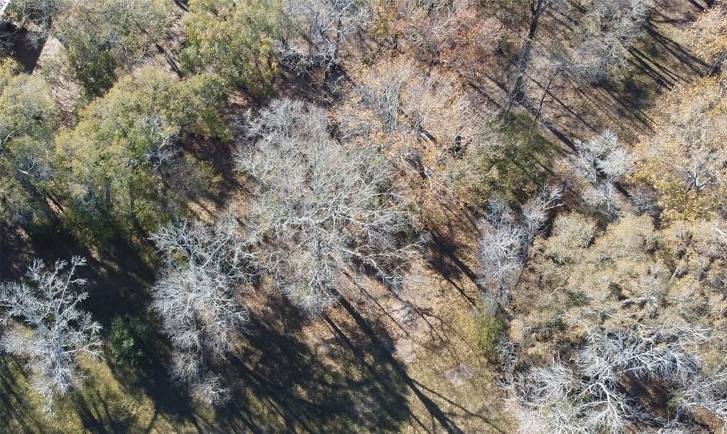 Photo of 0 Belle Terre, Huffman, TX 77336 (MLS # 15744279)