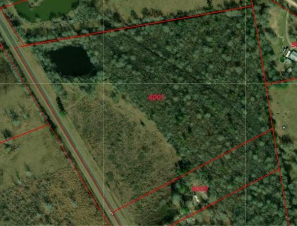 36420 Highway 105 Highway, Sour Lake, Texas image 10