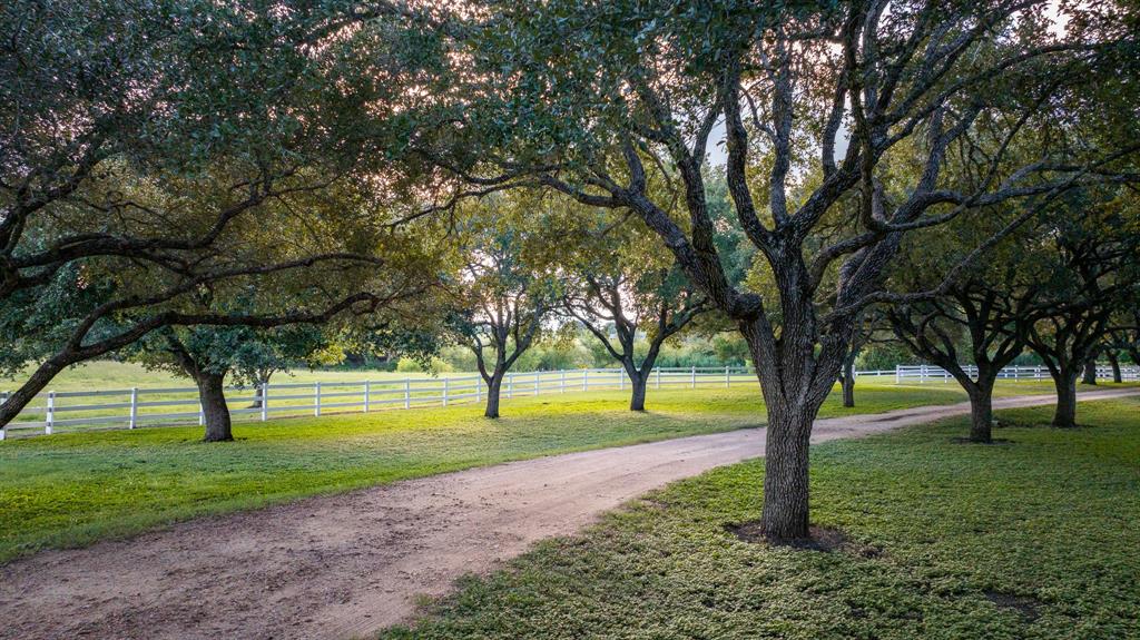 2030 Hertel Road, Schulenburg, Texas image 49