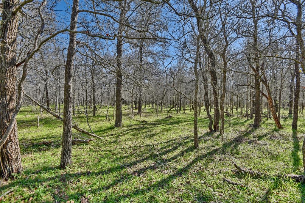 TBD Sunshine Lane, Smithville, Texas image 1