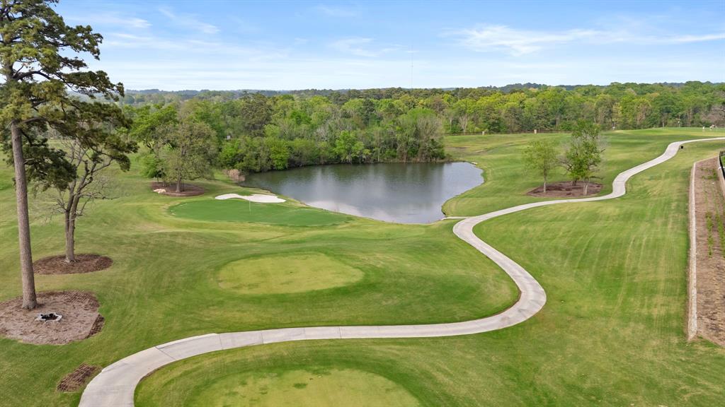 14886 Shavers Drive, Willis, Texas image 39