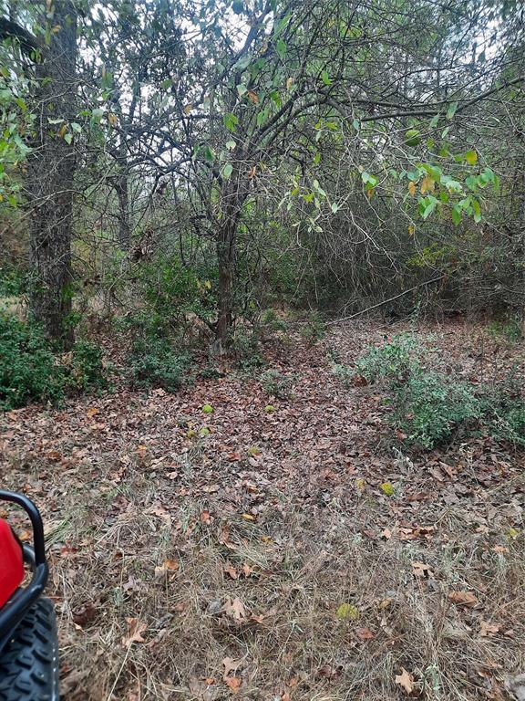 2900 County Road 3390, Crockett, Texas image 11