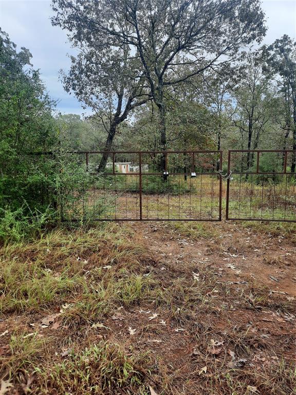 2900 County Road 3390, Crockett, Texas image 2