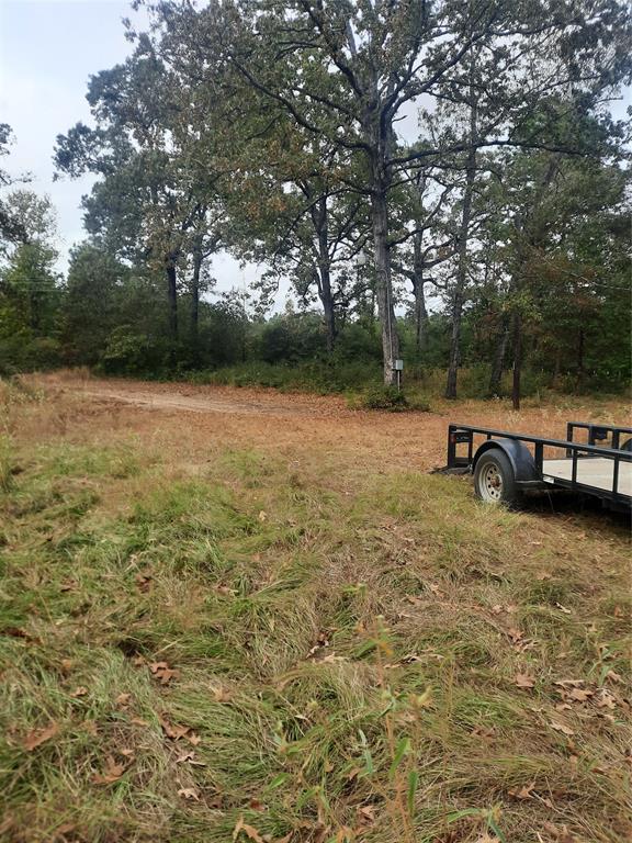 2900 County Road 3390, Crockett, Texas image 23