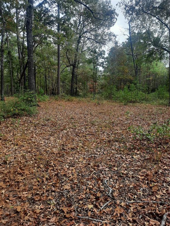 2900 County Road 3390, Crockett, Texas image 3