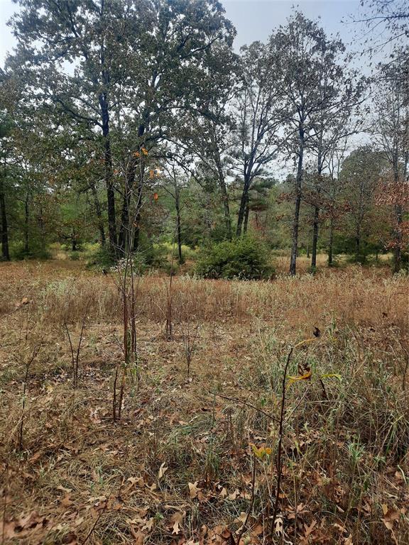 2900 County Road 3390, Crockett, Texas image 16