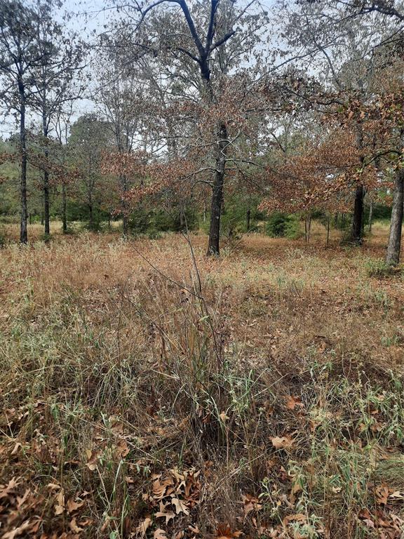 2900 County Road 3390, Crockett, Texas image 17