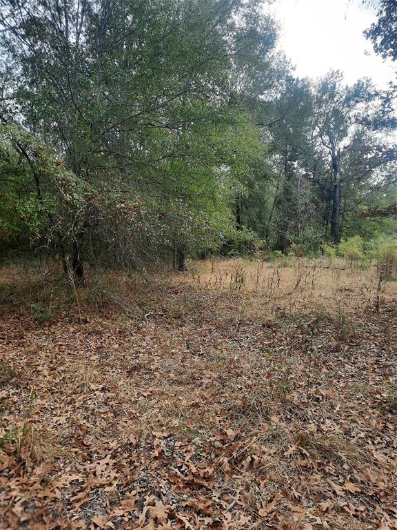 2900 County Road 3390, Crockett, Texas image 21