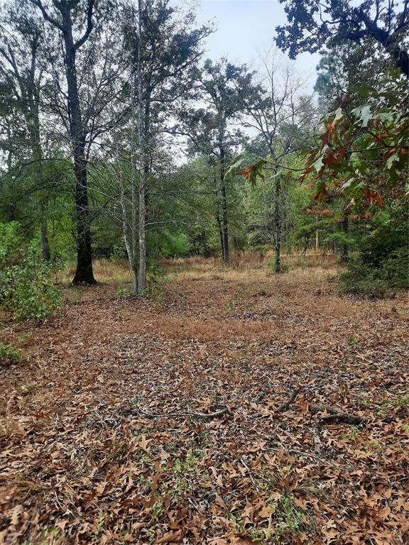 2900 County Road 3390, Crockett, Texas image 20