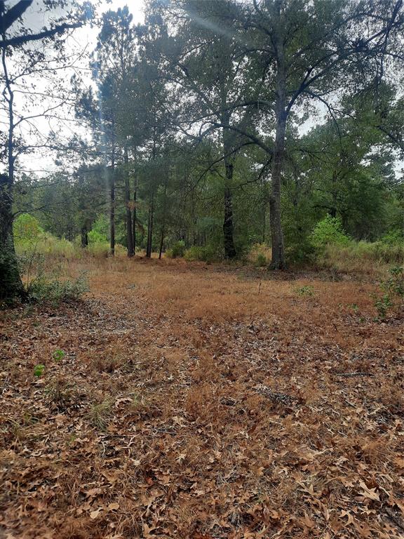 2900 County Road 3390, Crockett, Texas image 19