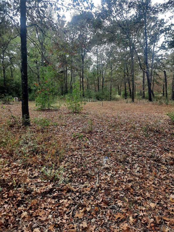 2900 County Road 3390, Crockett, Texas image 5