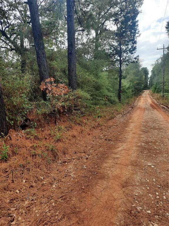 2900 County Road 3390, Crockett, Texas image 25
