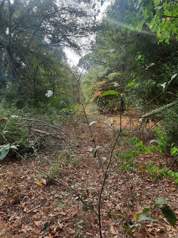 2900 County Road 3390, Crockett, Texas image 10