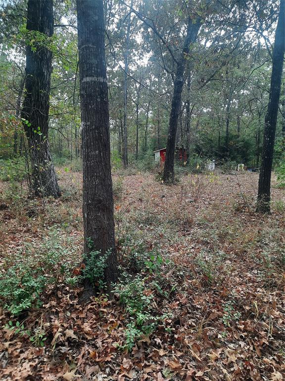 2900 County Road 3390, Crockett, Texas image 4