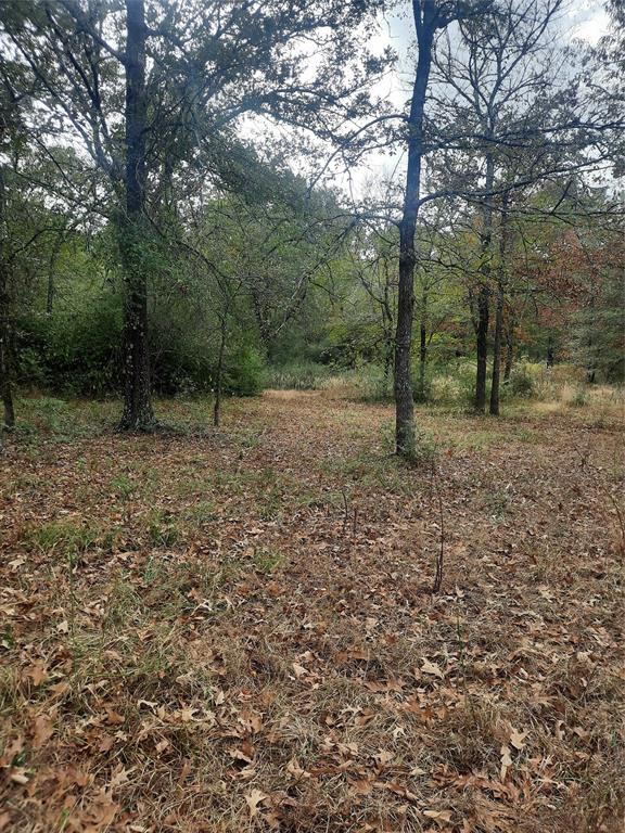 2900 County Road 3390, Crockett, Texas image 18