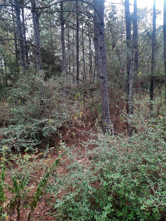 2900 County Road 3390, Crockett, Texas image 9