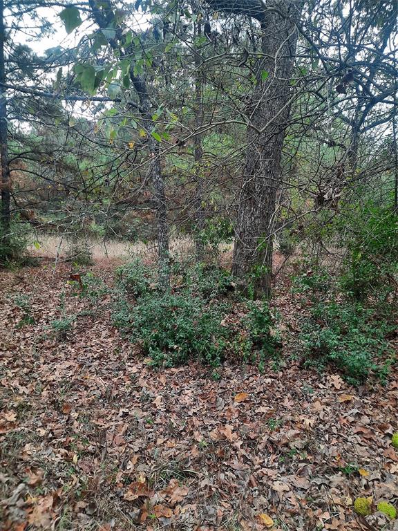 2900 County Road 3390, Crockett, Texas image 15