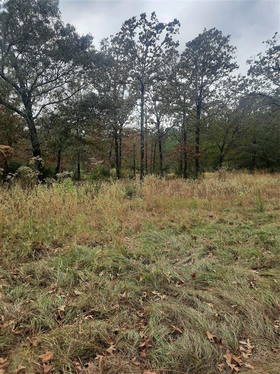 2900 County Road 3390, Crockett, Texas image 22