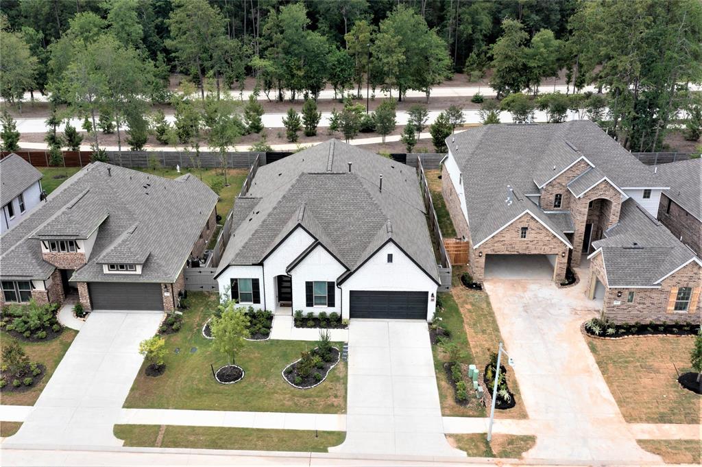 17413 Chestnut Cove Drive, Conroe, Texas image 2