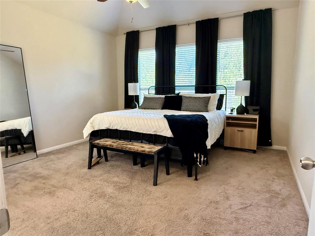 17413 Chestnut Cove Drive, Conroe, Texas image 19