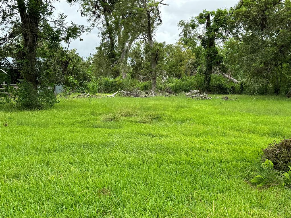 501 Burnett Street, Brazoria, Texas image 10