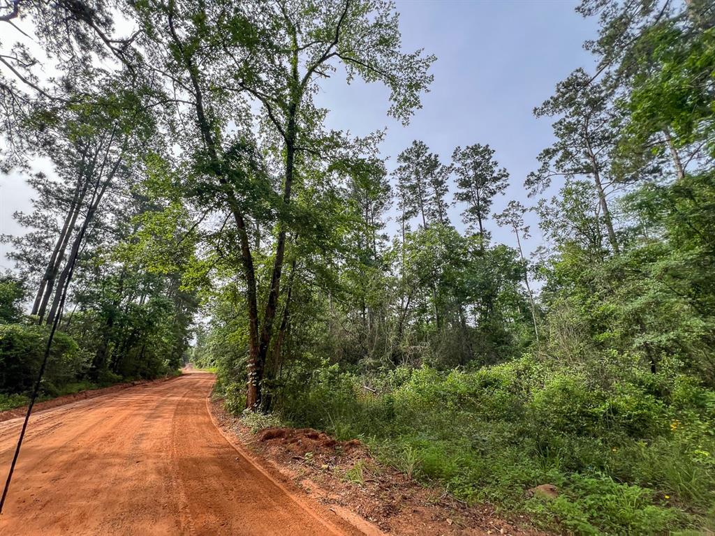 1 Salem Church Road, Willis, Texas image 7