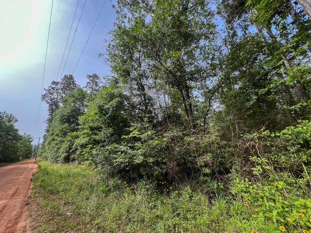 1 Salem Church Road, Willis, Texas image 11