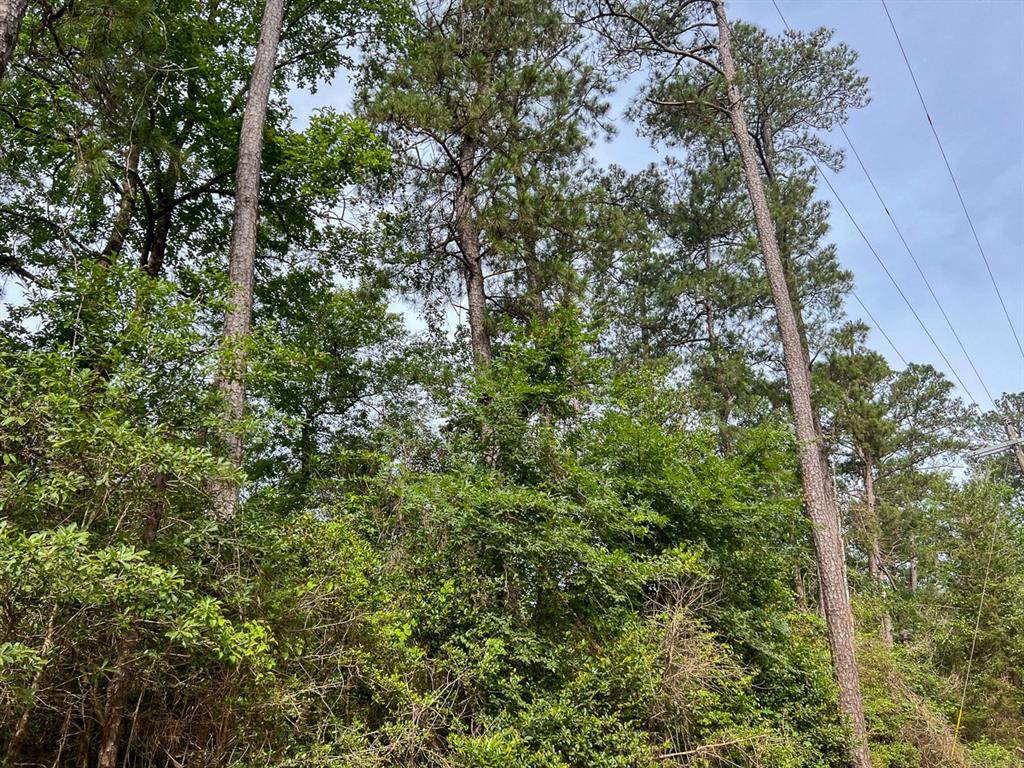 1 Salem Church Road, Willis, Texas image 3