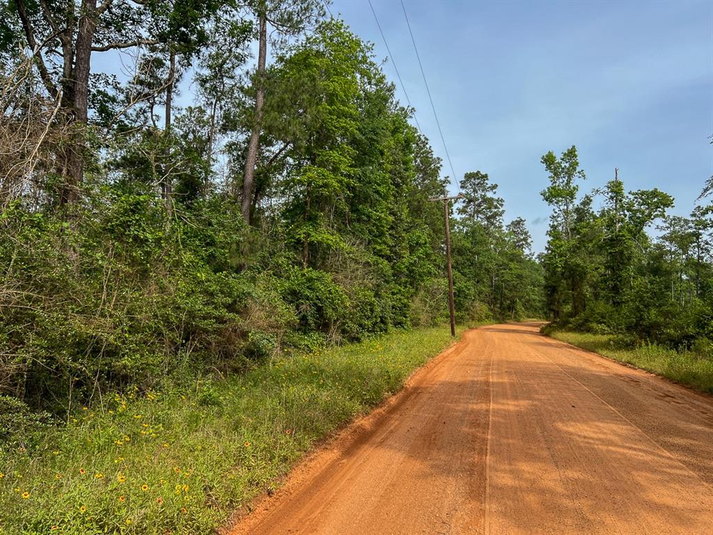 1 Salem Church Road, Willis, Texas image 5