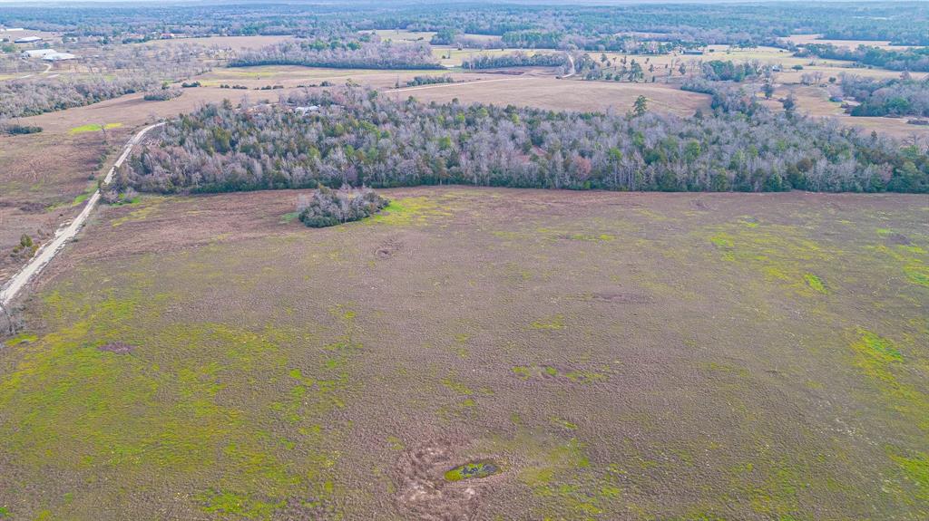 TBD Private Rd 1310, Centerville, Texas image 8