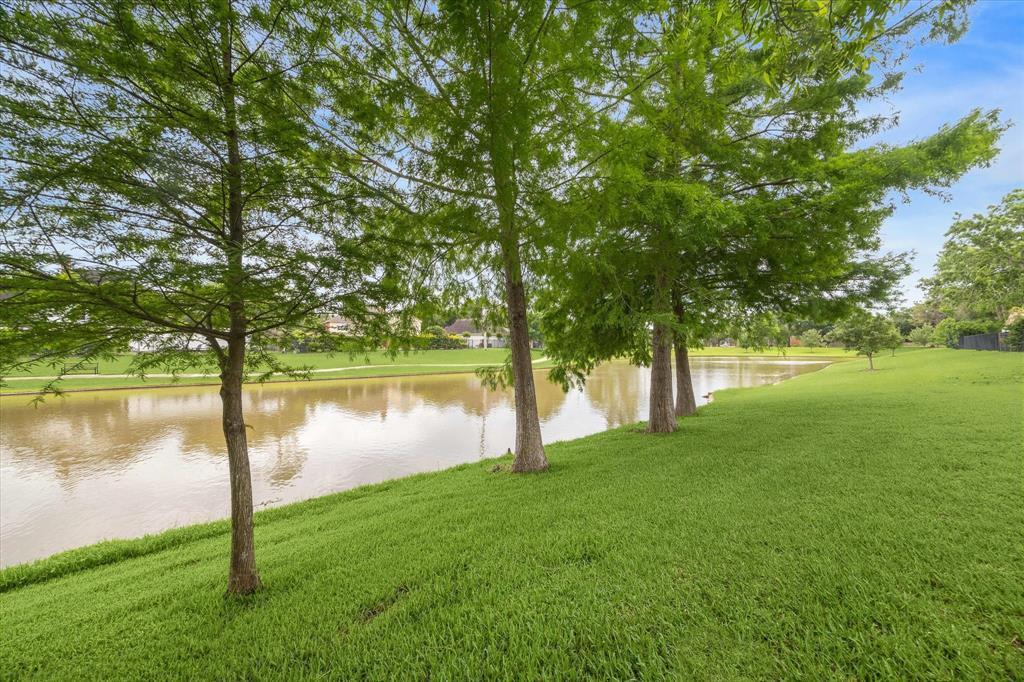 14 Tredington Street, Sugar Land, Texas image 38